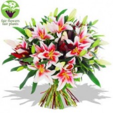 One Dozen Pink Lilies in a Bouquet